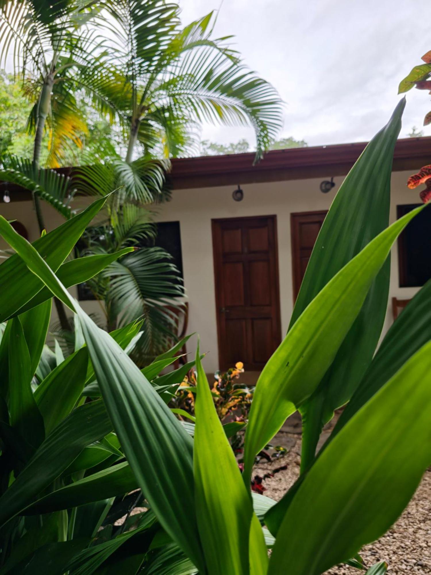 Buddha Retreat Hotel San Juanillo Zewnętrze zdjęcie