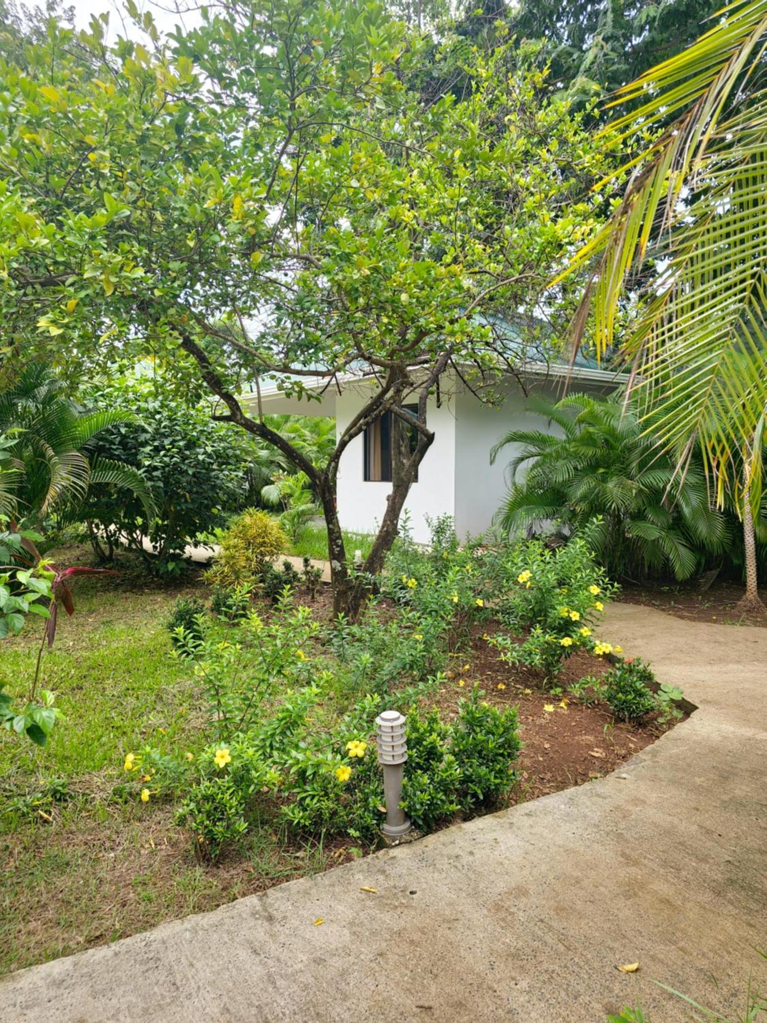 Buddha Retreat Hotel San Juanillo Zewnętrze zdjęcie